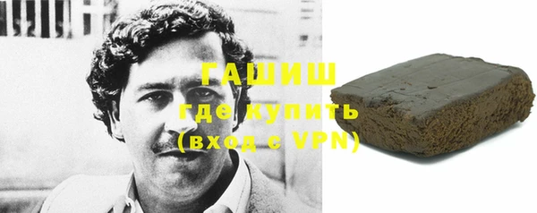 гашик Алексин
