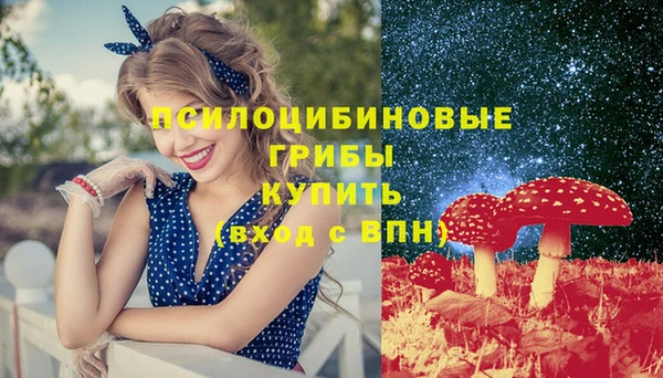 гашик Алексин