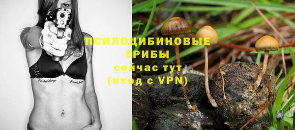 спиды Абдулино
