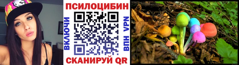 мориарти наркотические препараты Ефремов Галлюциногенные грибы MAGIC MUSHROOMS где купить наркотик