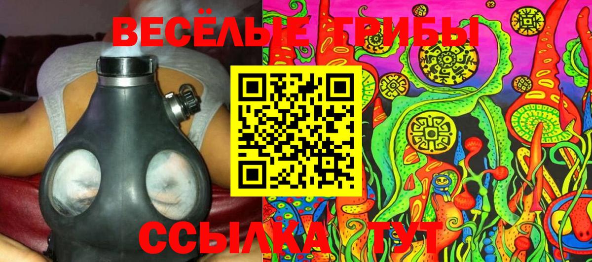 Псилоцибиновые грибы Psilocybine cubensis Ефремов